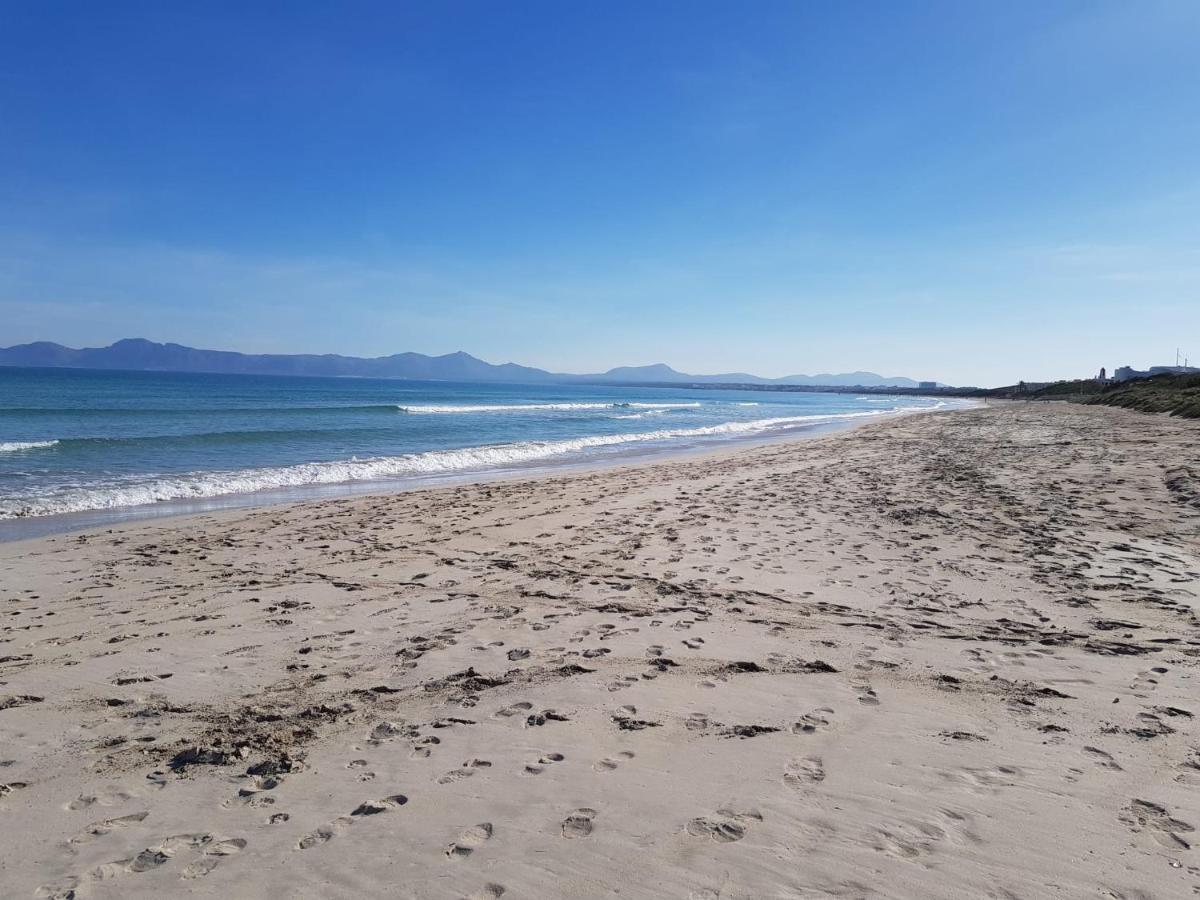 Ideal Property Mallorca - Nenufars Alcudia  Dış mekan fotoğraf